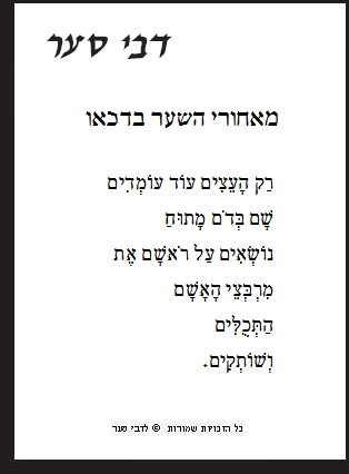 מאחורי השער בדכאו / דבי סער