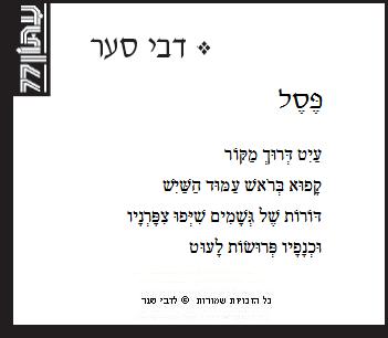 פסל / דבי סער