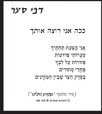 ככה אני רוצה אותך / דבי סער